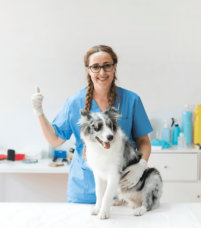 Clínica veterinaria 12hs