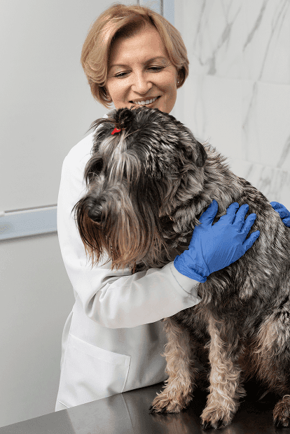 Atención de urgencias veterinarias
