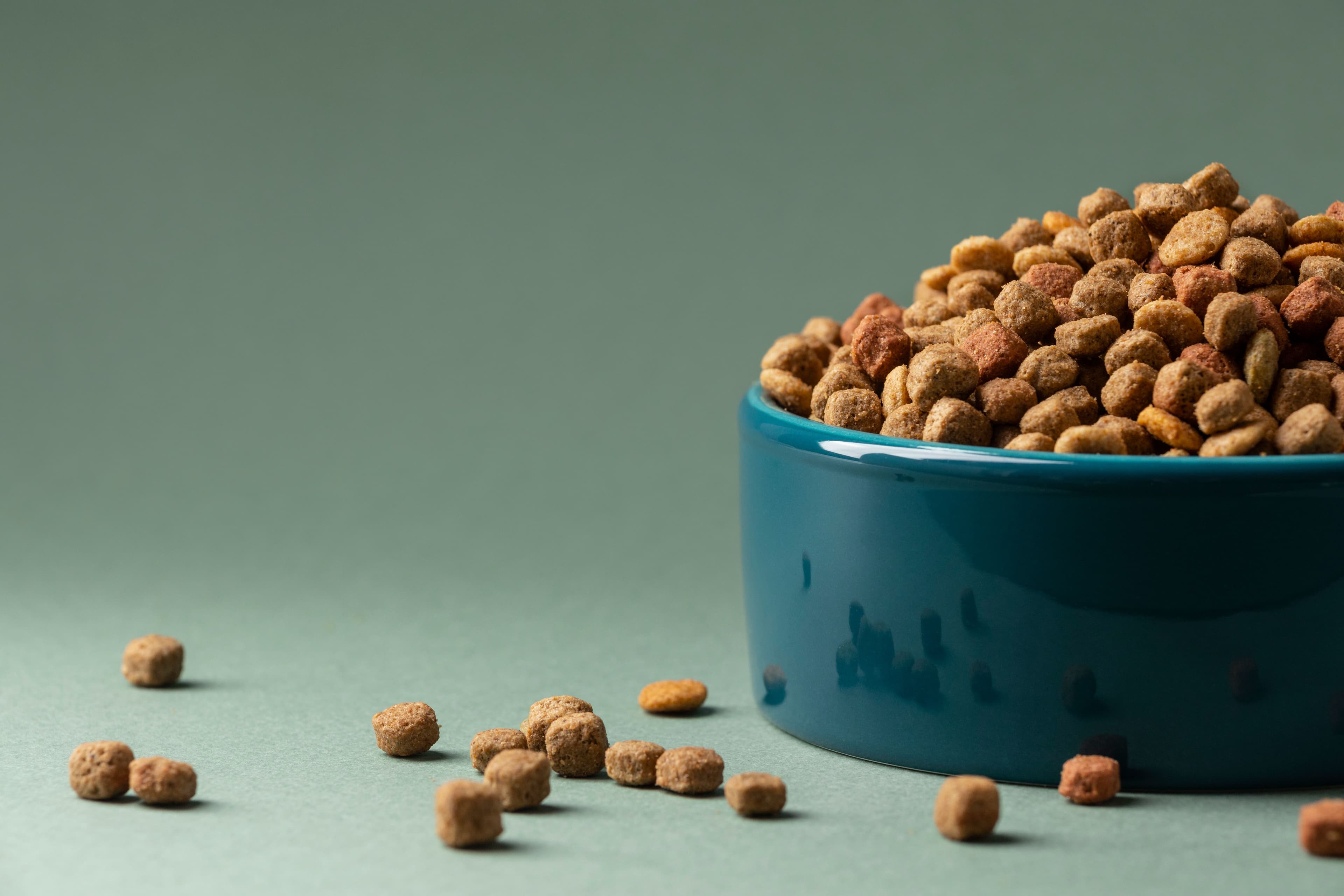 Alimentos Balanceados y Medicados